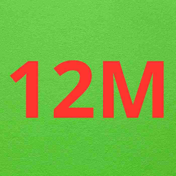 WEB DESIGN 12M