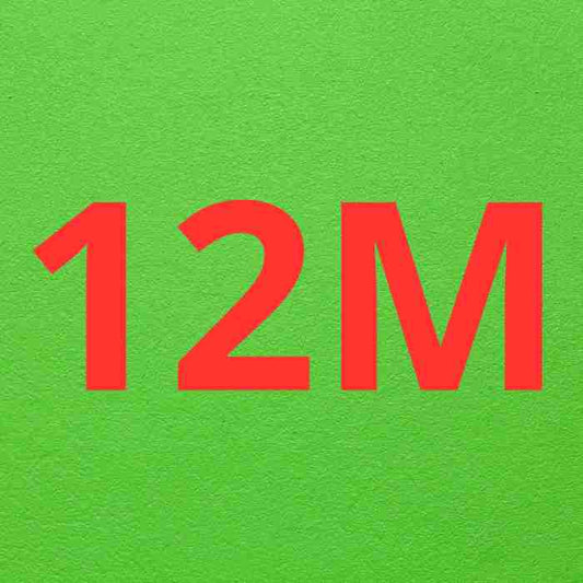 WEB DESIGN 12M